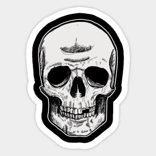 Skeleton Head Original Sticker